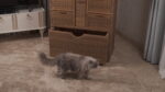 ⁦دولاب البيور متعدد الاغراض Vault⁩ - الصورة ⁦4⁩
